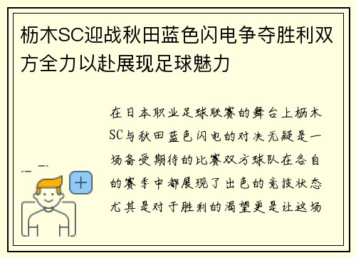 枥木SC迎战秋田蓝色闪电争夺胜利双方全力以赴展现足球魅力