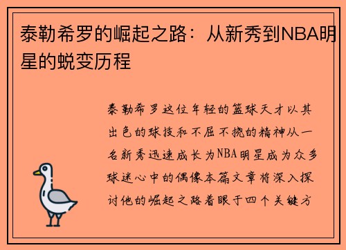 泰勒希罗的崛起之路：从新秀到NBA明星的蜕变历程