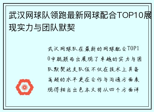 武汉网球队领跑最新网球配合TOP10展现实力与团队默契