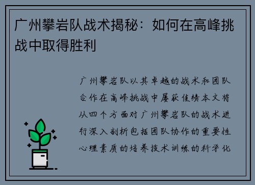 广州攀岩队战术揭秘：如何在高峰挑战中取得胜利