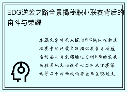 EDG逆袭之路全景揭秘职业联赛背后的奋斗与荣耀