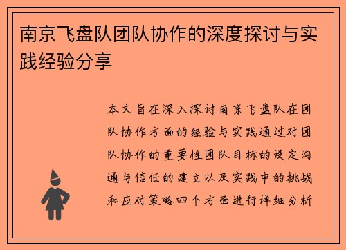 南京飞盘队团队协作的深度探讨与实践经验分享